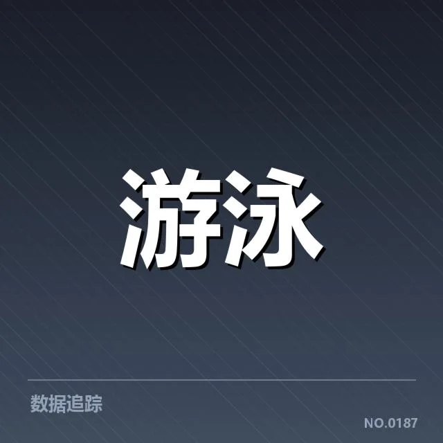 全国冠军赛成绩盘点背后，谁是最强者引发广泛关注